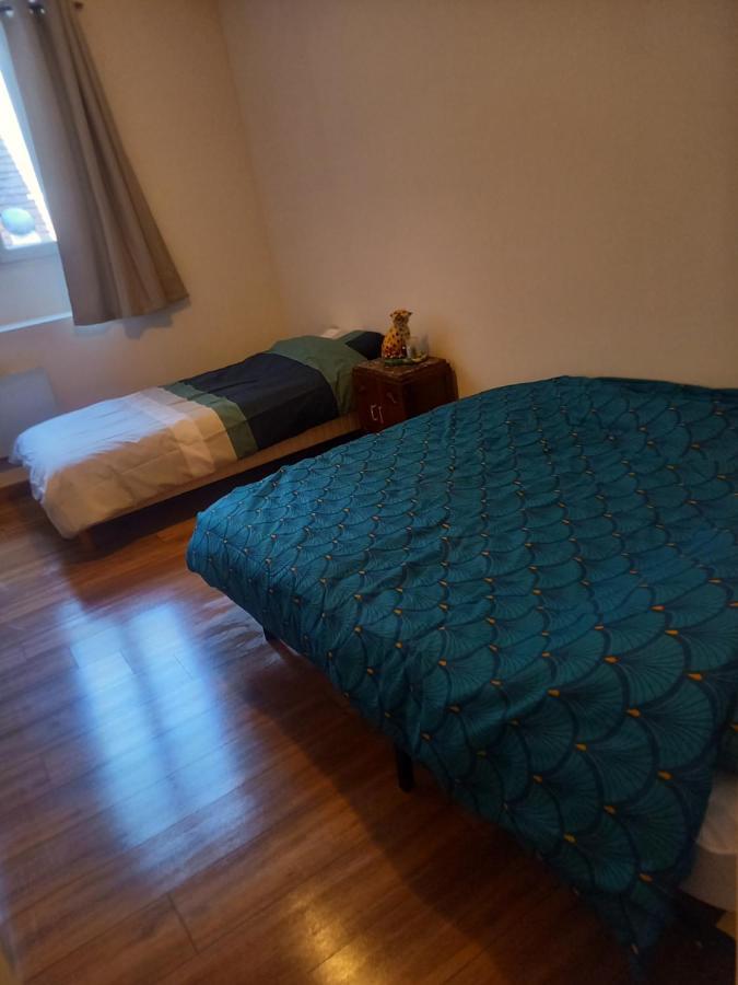 Logement Entier Spacieux Et Confortable A 1 H De Paris Courtenay  Extérieur photo